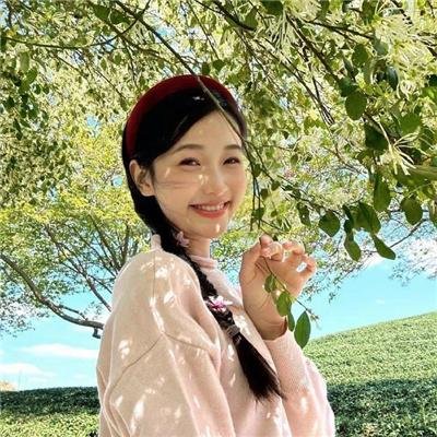 自由作家 在线观看